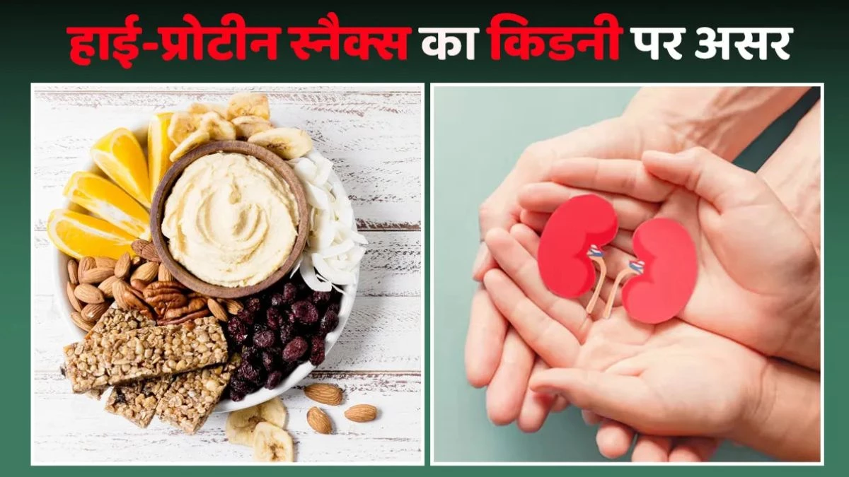 क्या हाई-प्रोटीन स्नैक्स से किडनी हो सकती है खराब? जानें क्या कहते हैं डॉक्टर