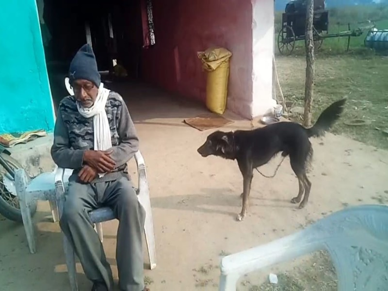 Chhindwara News: Kisan gets half of property in the name of her dog, angry with the behavior of sons