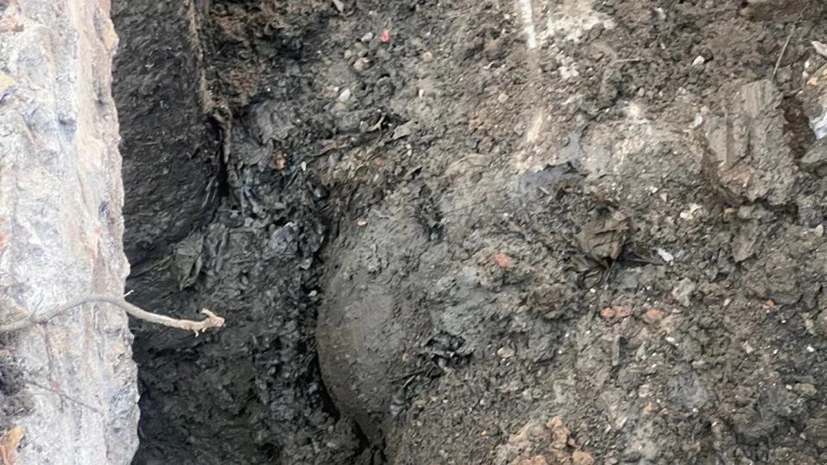 इंदौर में दूषित पानी पीने से 8 लोगों की मौत, 100 से अधिक बीमार, 3 अधिकारियों पर गिरी गाज; पढ़ें विस्‍तृत रिपोर्ट