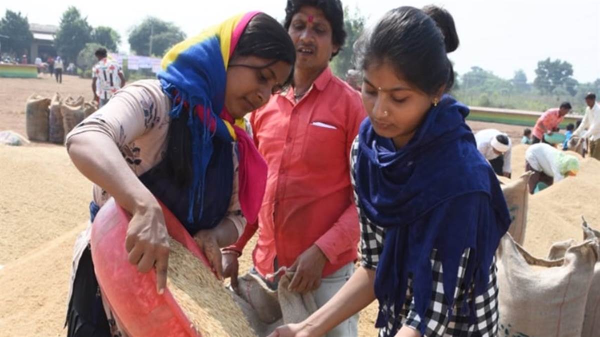 Chhattisgarh Paddy Purchase: छत्‍तीसगढ़ में धान खरीदी का आज आखिरी मौका, अब तक 23.39 लाख किसानों ने बेचा धान
