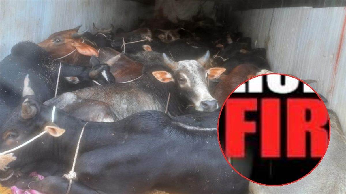 शिवपुरी में गो तस्करी के आरोपी मुस्लिम युवक से जय श्री राम के नारे लगवाने वालों के खिलाफ केस दर्ज, धार्मिक भावना आहत करने का आरोप