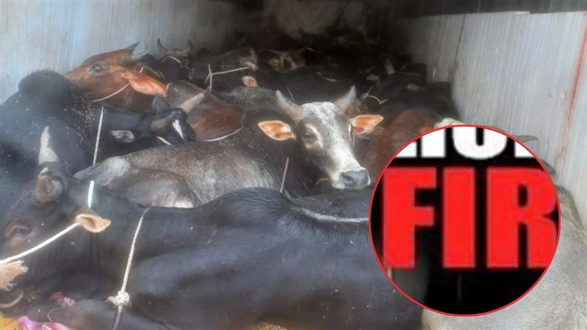 शिवपुरी में गो तस्करी के आरोपी मुस्लिम युवक से जय श्री राम के नारे लगवाने वालों के खिलाफ केस दर्ज, धार्मिक भावना आहत करने का आरोप