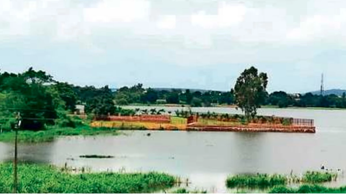 भोपाल में कलियासोत–भोज वेटलैंड पर कब्जे को लेकर एनजीटी सख्त, प्रशासन की निष्क्रियता पर लगाई फटकार