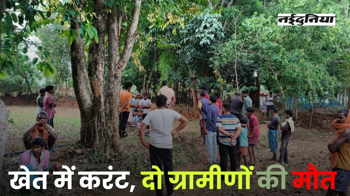 खेत में लगाया था करंट वाला तार, चपेट में आने से दो लोगों की मौत, जानें ऐसा क्यों करते है किसान