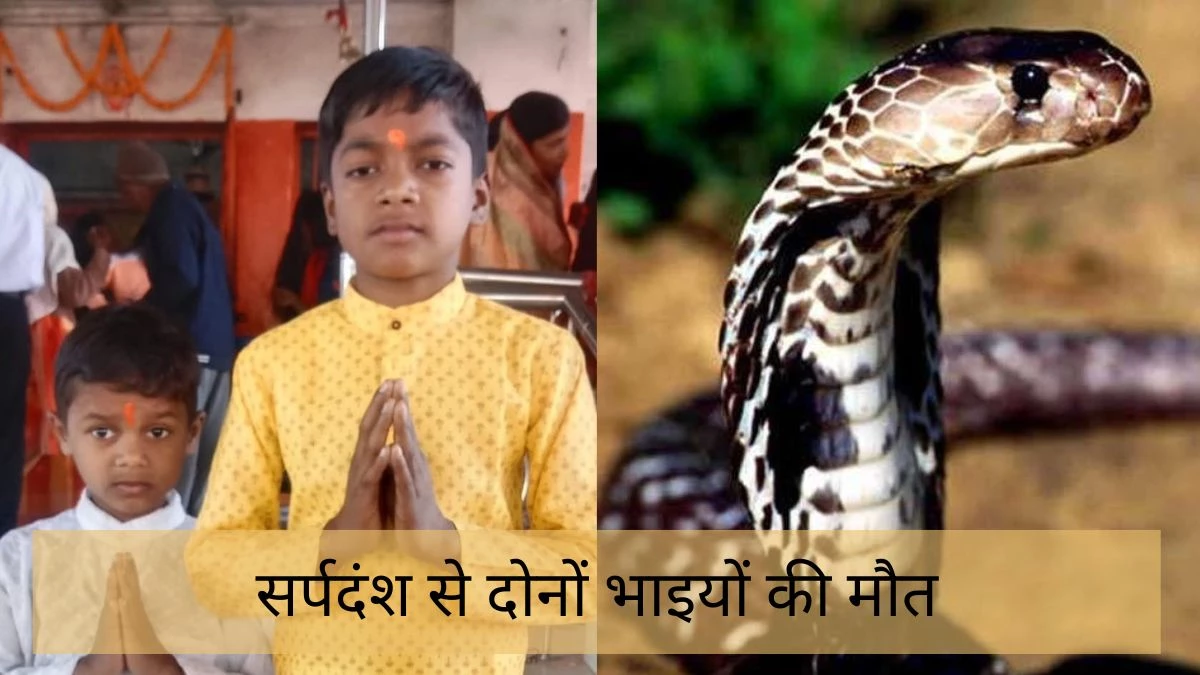 Chhattisgarh News: सांप के डसने से पलंग पर सो रहे दो भाइयों की मौत, बेसुध हुई मां