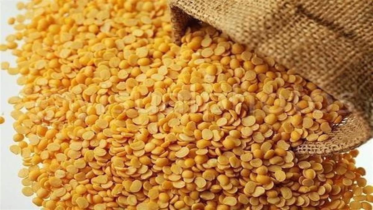 Arhar Dal For Diabetes: ब्लड शुगर कंट्रोल करने में मददगार है अरहर की दाल, ऐसे उठाएं फायदा