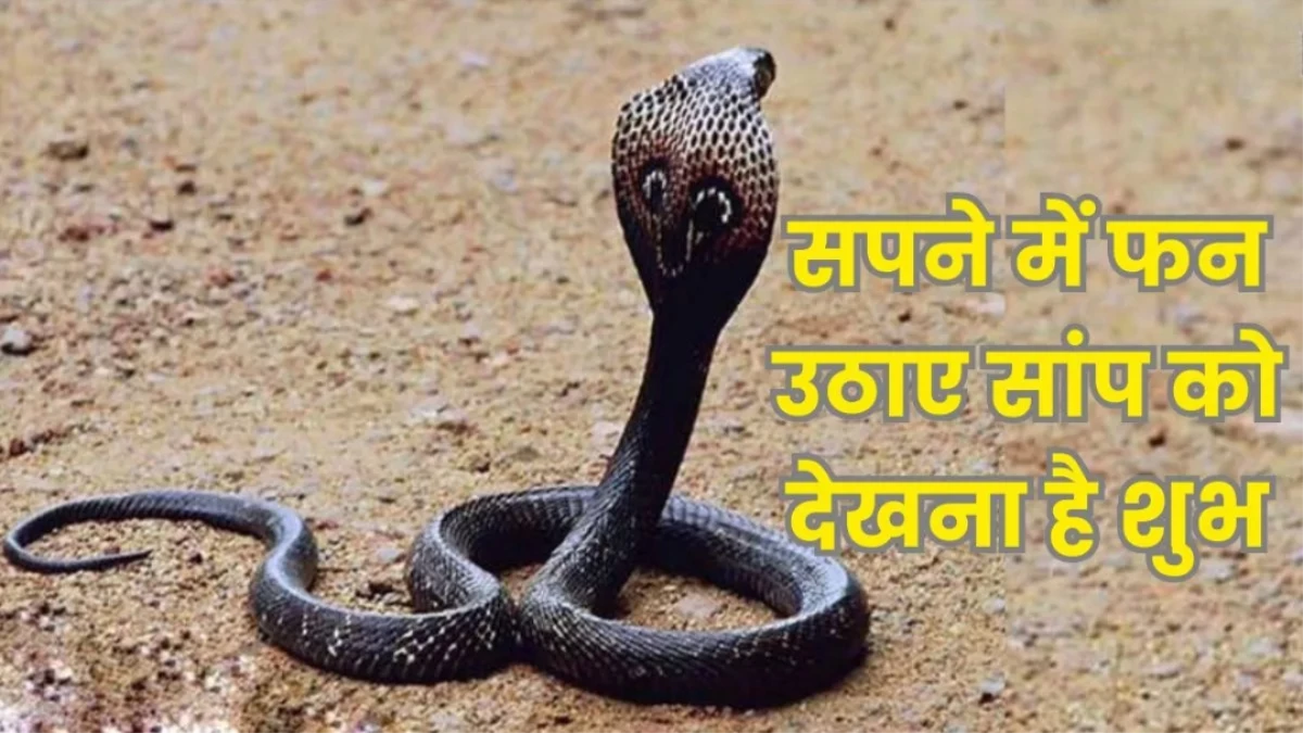 Swapna Shastra: सावन में सपनों में दिखे सांप? जानिए क्या हैं इसके शुभ संकेत