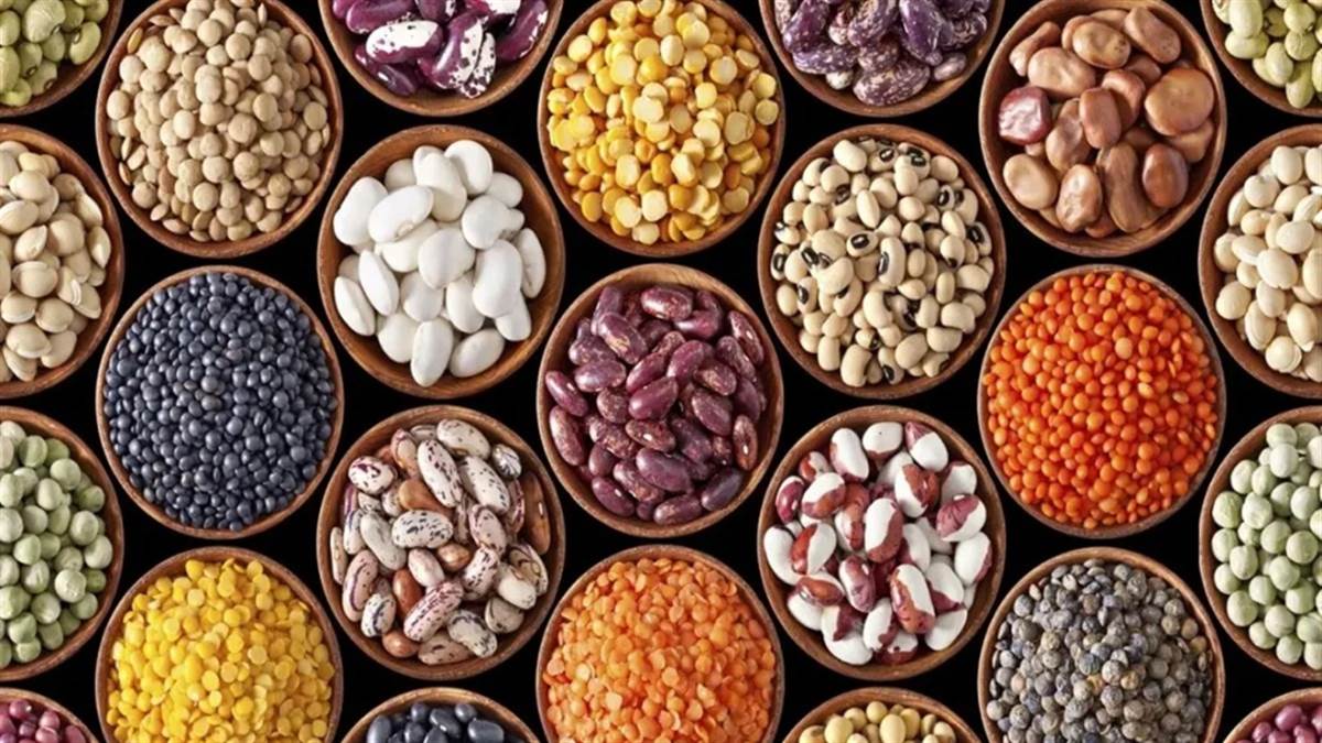 MP के तीन जिलों में बनेंगे Oil Seed Hub, किसानों को मिलेगा उन्नत बीज का फायदा
