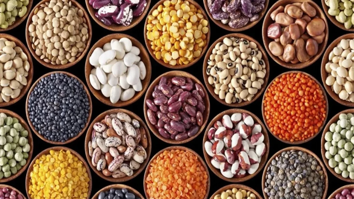 MP के तीन जिलों में बनेंगे Oil Seed Hub, किसानों को मिलेगा उन्नत बीज का फायदा