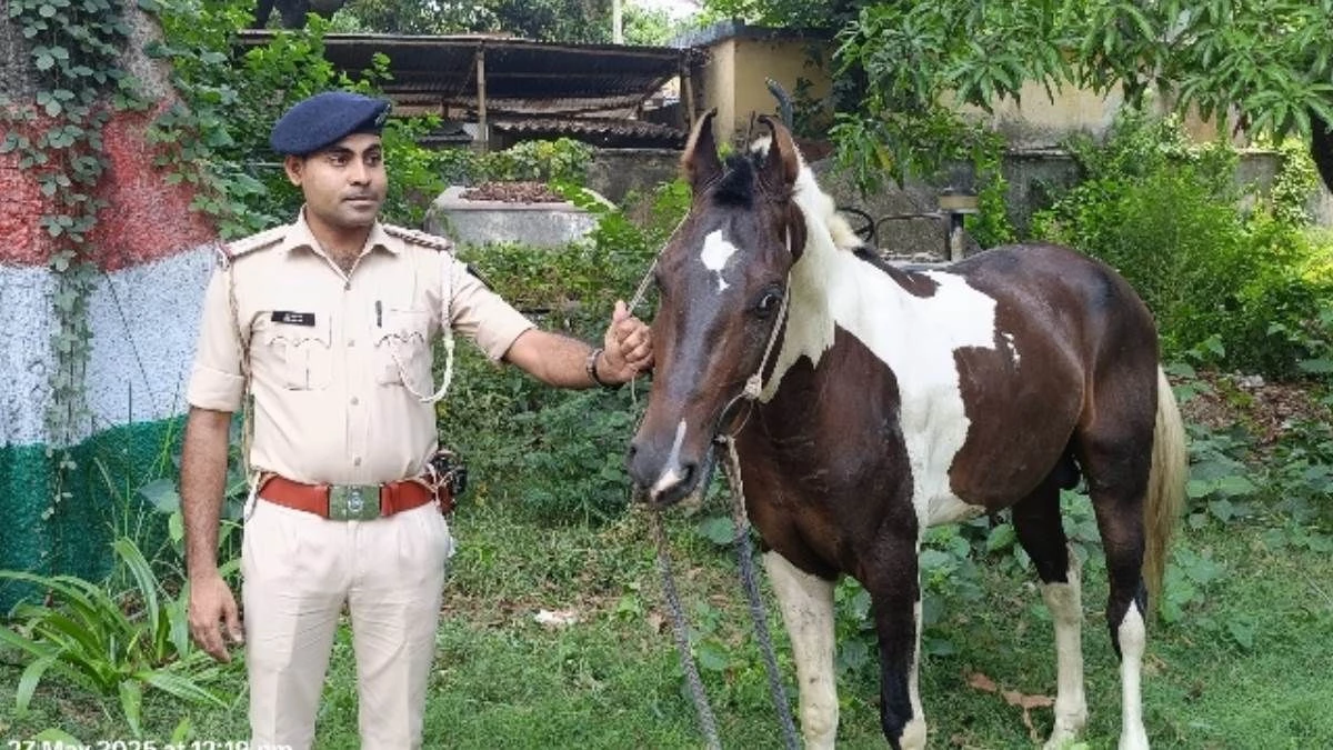 कहीं पूर्व जन्म का रिश्ता तो नहीं... बार-बार युवक के घर पहुंच जाता है घोड़ा, पुलिस भी हैरान
