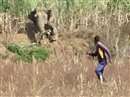 Elephant Attack In Mahasamund: घर के पीछे से आया हाथी, बुजुर्ग को कुचल कर मारा, अन्य देखते ही रह गए