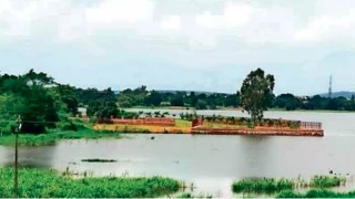 भोपाल के कलियासोत-चंदनपुरा टाइगर कॉरिडोर में 85 पेड़ों की कटाई पर विवाद