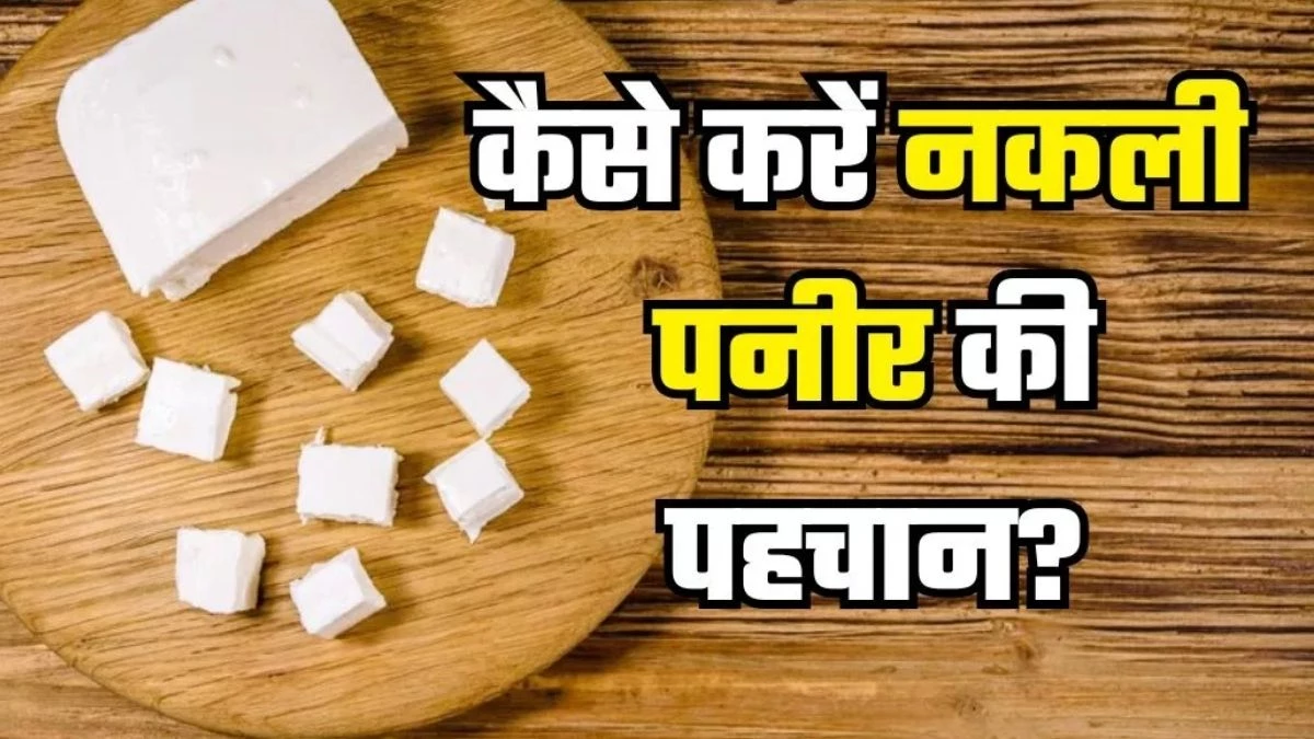 Fake Paneer: बाजार में सिंथेटिक पनीर की भरमार... शरीर के लिए धीमा जहर, ऐसे करें नकली-असली की पहचान