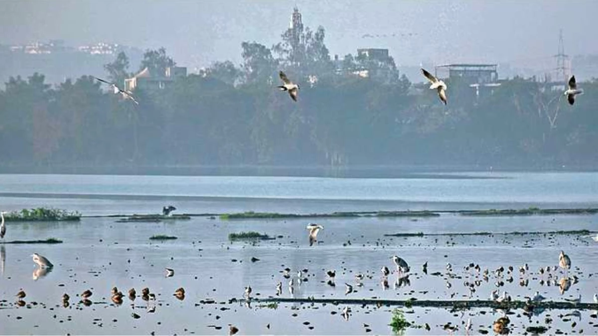 मध्य प्रदेश में शीतलहर को लेकर जारी हुआ अलर्ट, हार्ट और सांस की बीमारी वाले मरीजों को सबसे ज्यादा खतरा