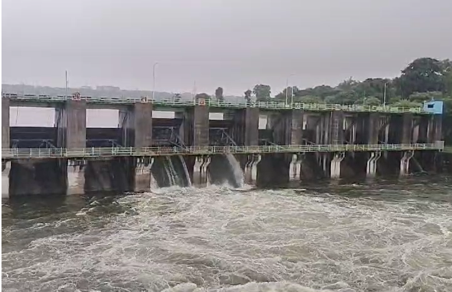 सीजन का सबसे बड़ा वेदर सिस्टम एक्टिव, ग्वालियर-सागर समेत 18 जिलों में पर अति भारी बारिश 4 naidunia_image