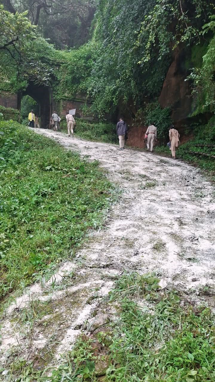 naidunia_image