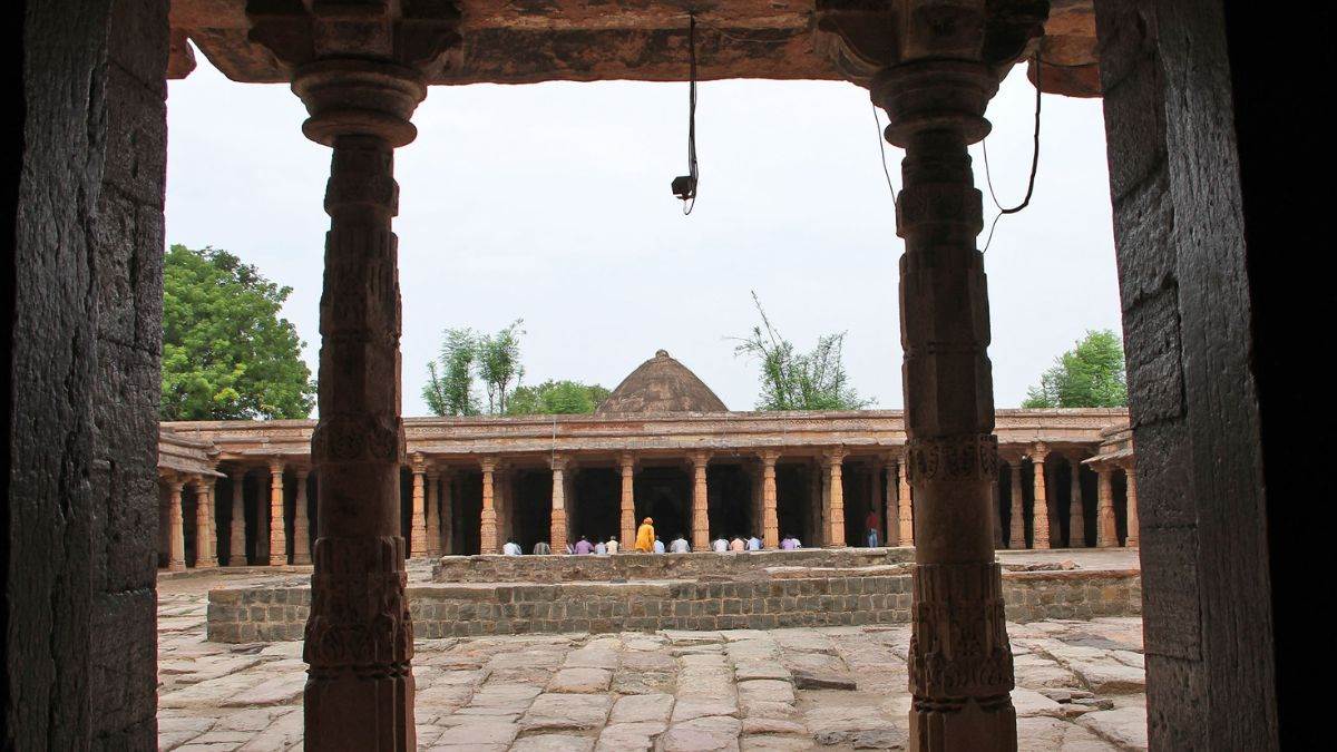 naidunia_image