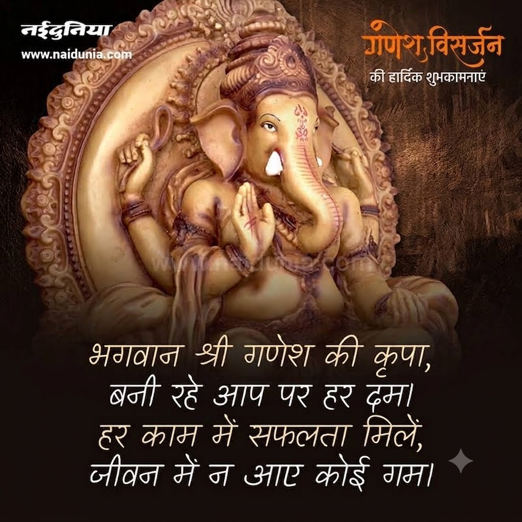 naidunia_image