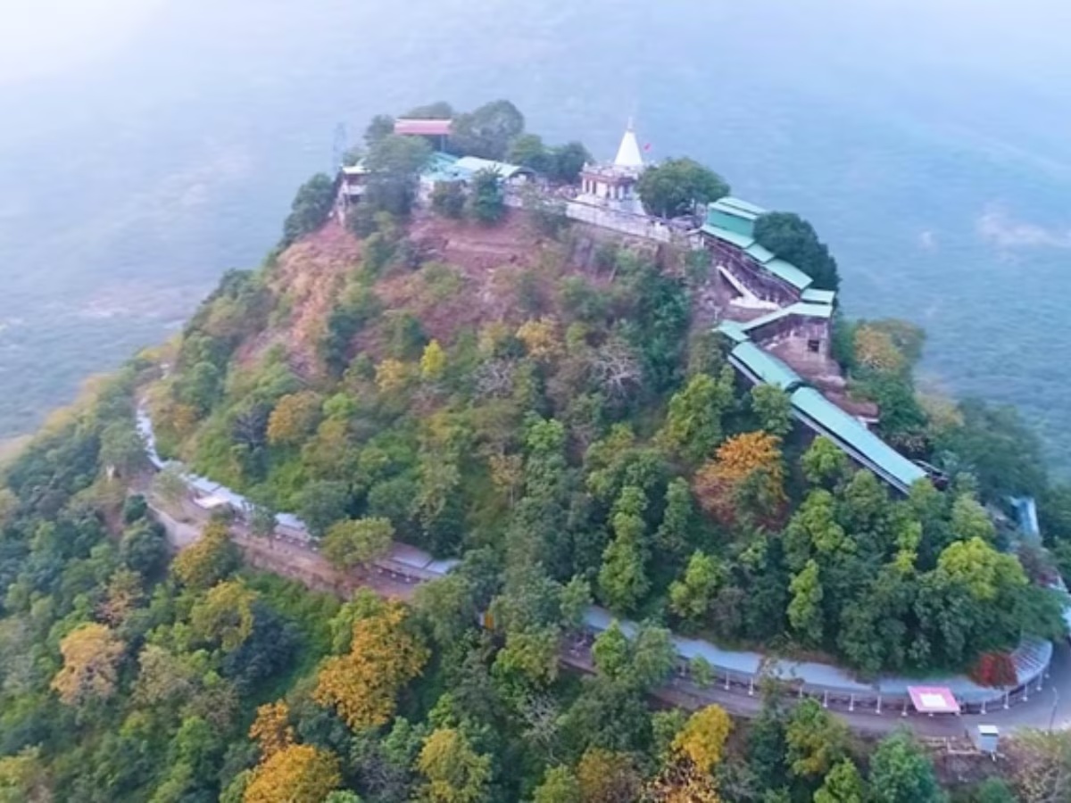 naidunia_image