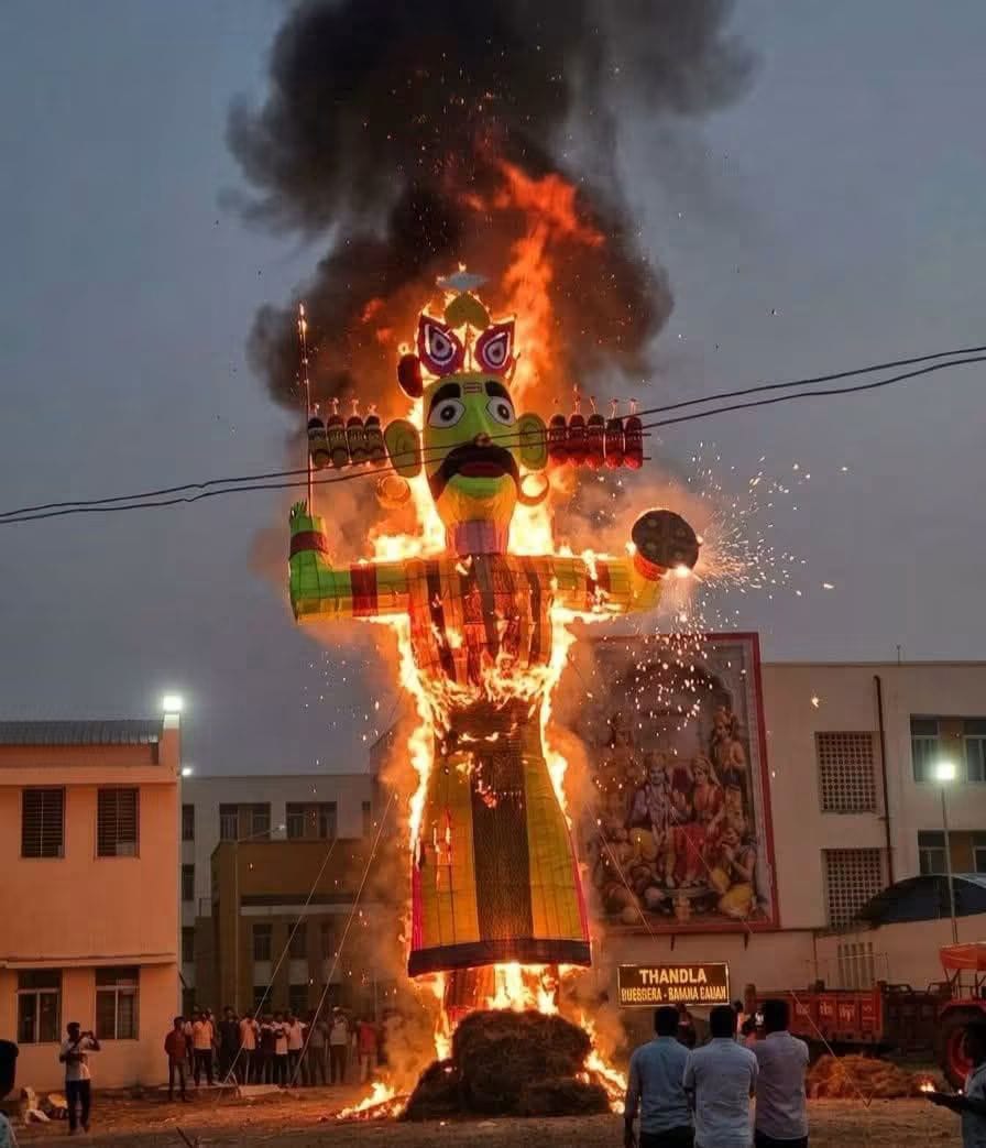 naidunia_image
