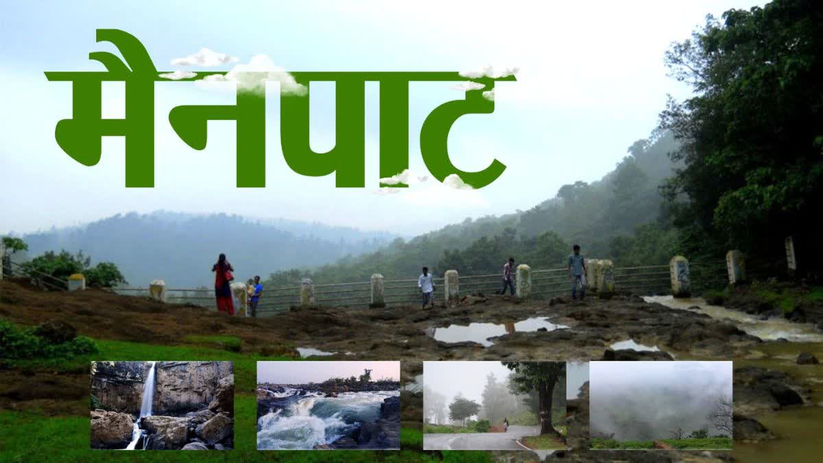 naidunia_image
