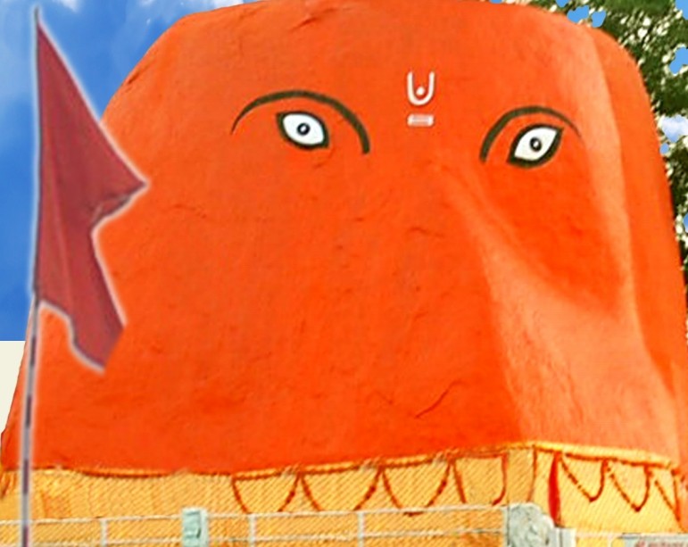 naidunia_image