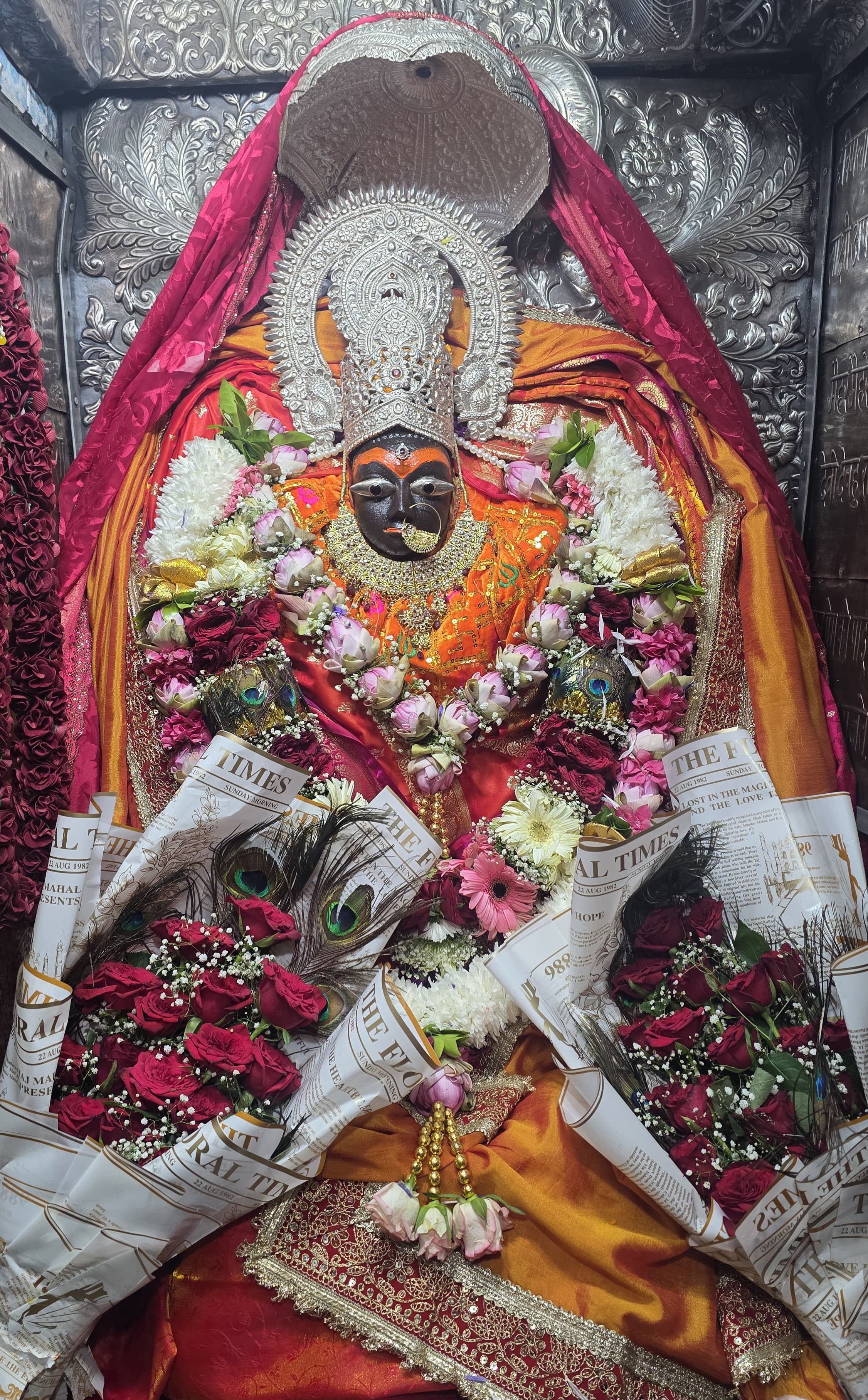 naidunia_image