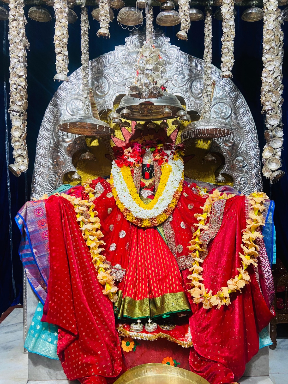 naidunia_image