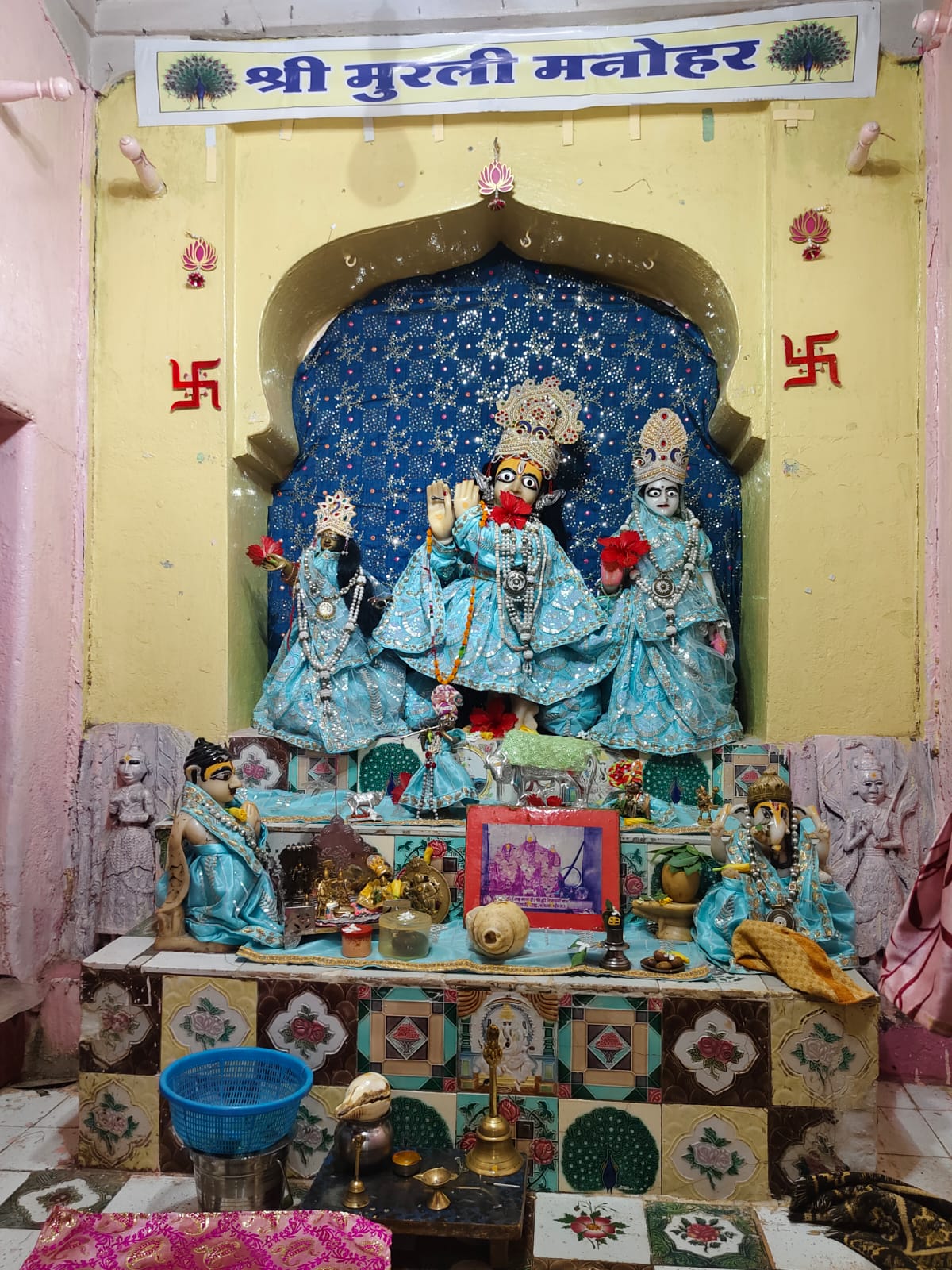 naidunia_image