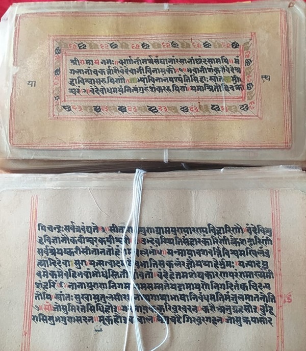 naidunia_image