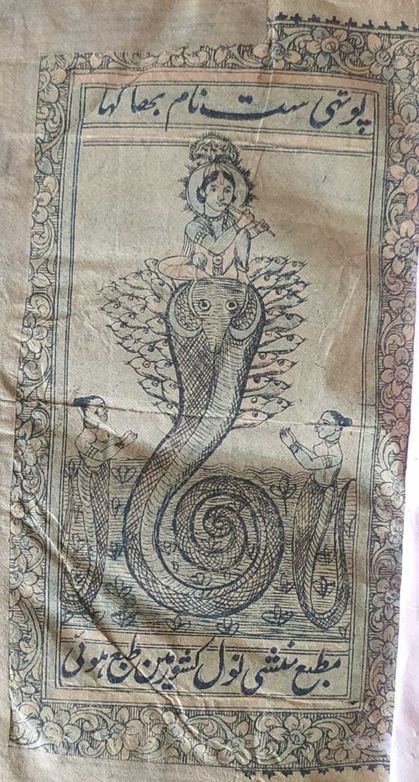 naidunia_image
