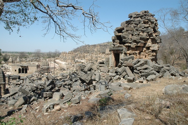 naidunia_image
