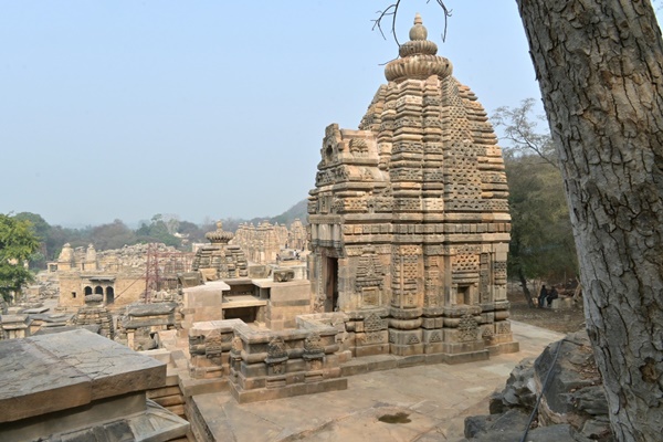 naidunia_image