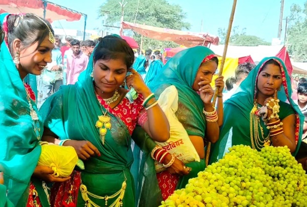 naidunia_image