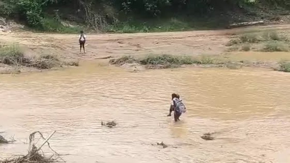 naidunia_image
