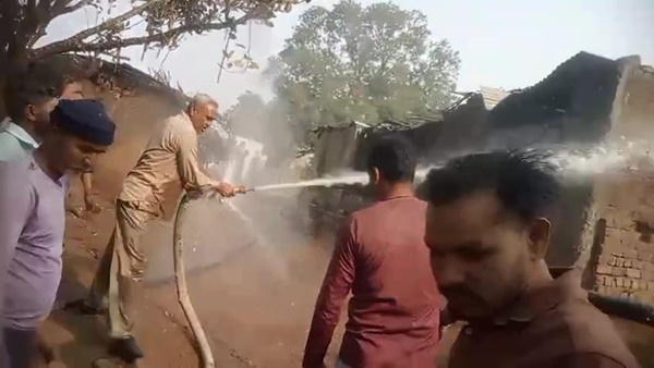 naidunia_image
