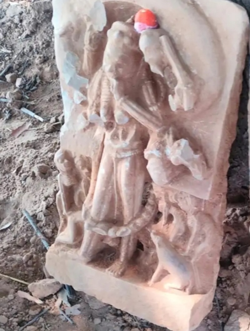 naidunia_image