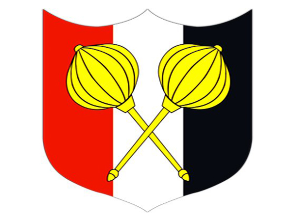 naidunia_image