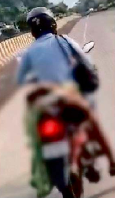 naidunia_image
