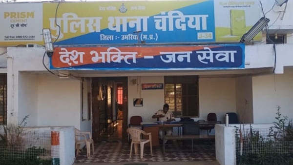 naidunia_image