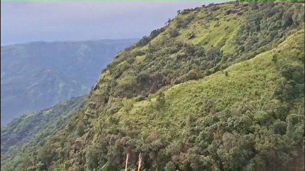 naidunia_image