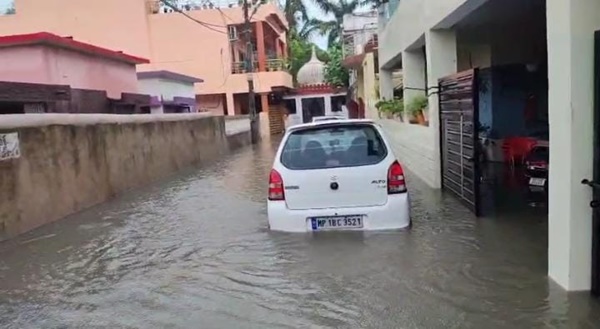 naidunia_image