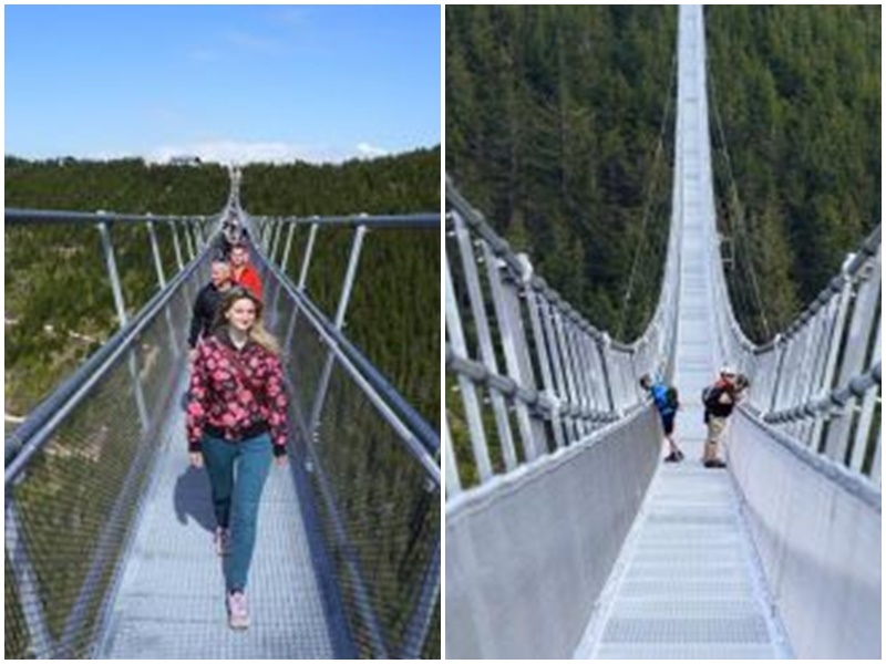 Sky Bridge 721: दुनिया का सबसे लंबा सस्पेंशन फुटब्रिज चेक गणराज्य में खुला  देखें रोमाचंक तस्वीरें - Sky Bridge 721: Worlds longest suspension  footbridge opens in Czech Republic see ...