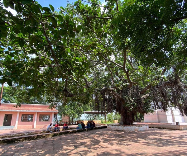 naidunia_image