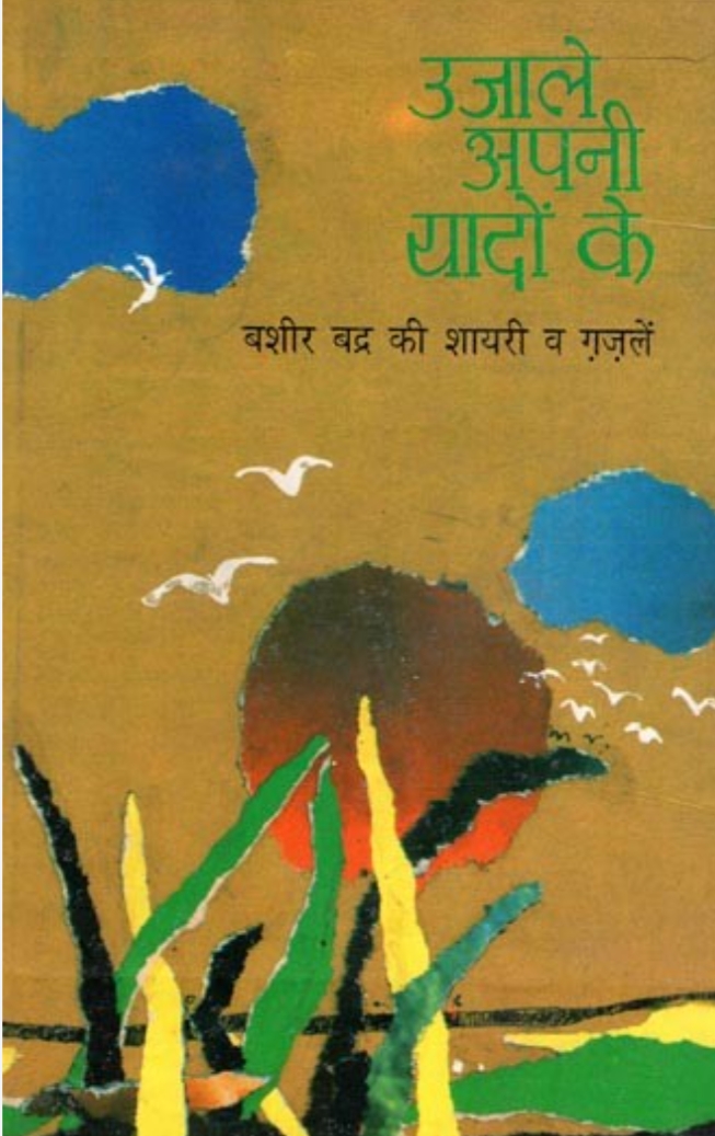 naidunia_image