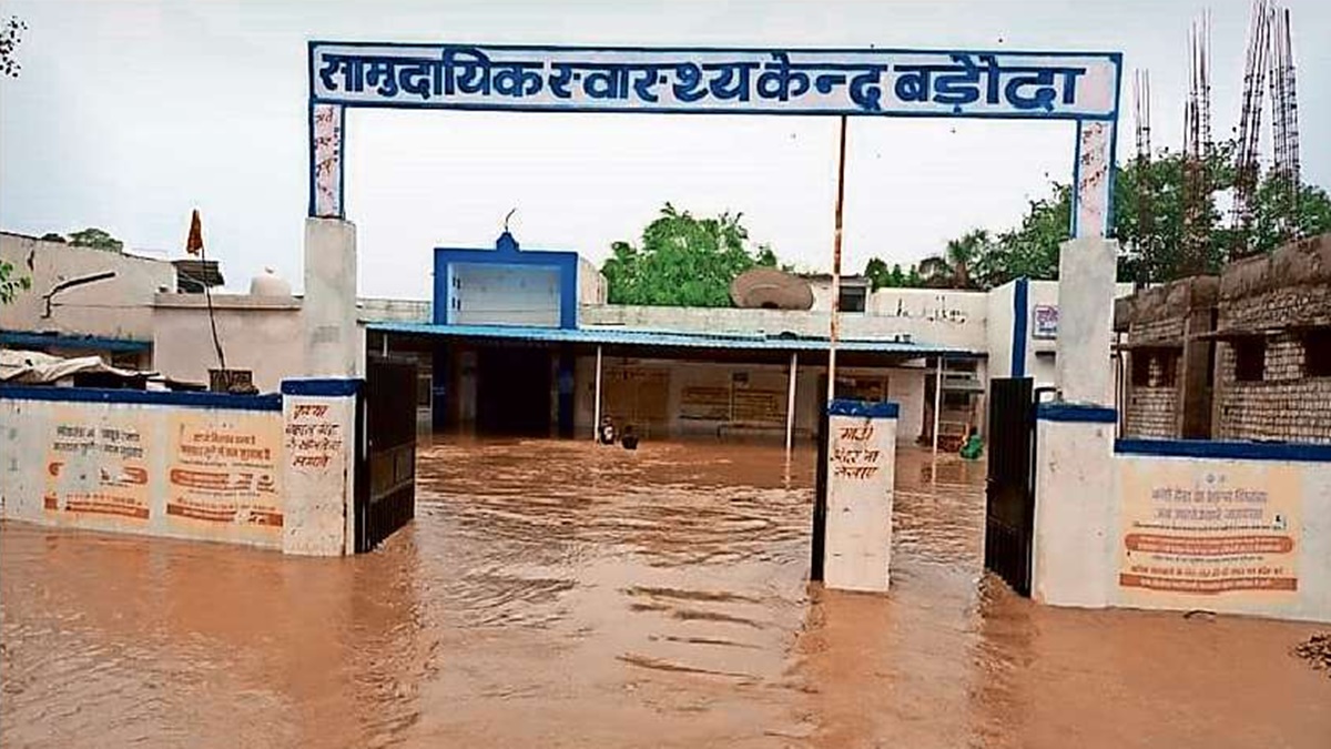 naidunia_image