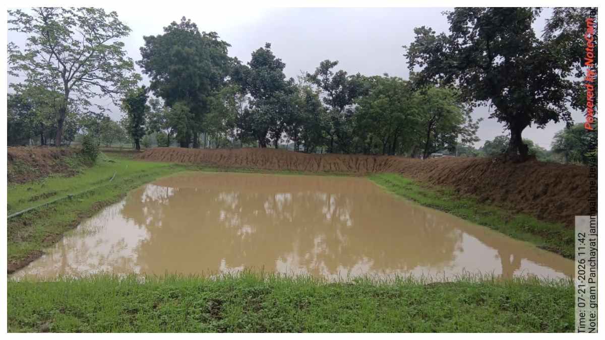 naidunia_image