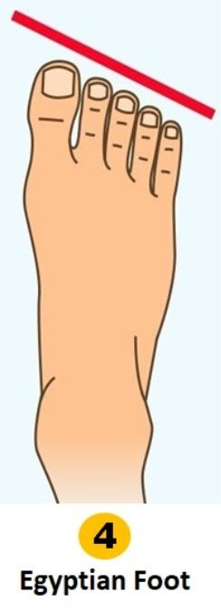 naidunia_image