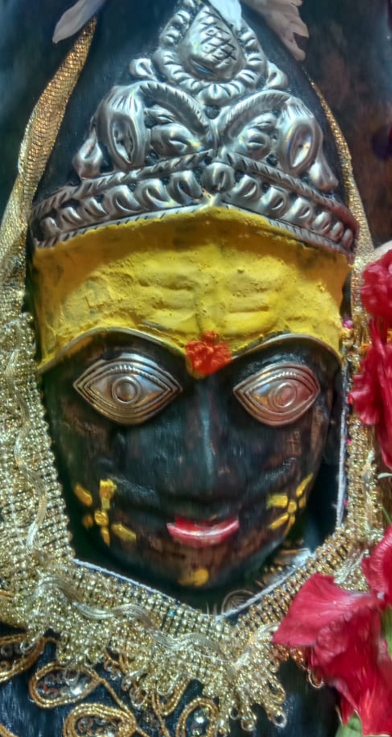 naidunia_image