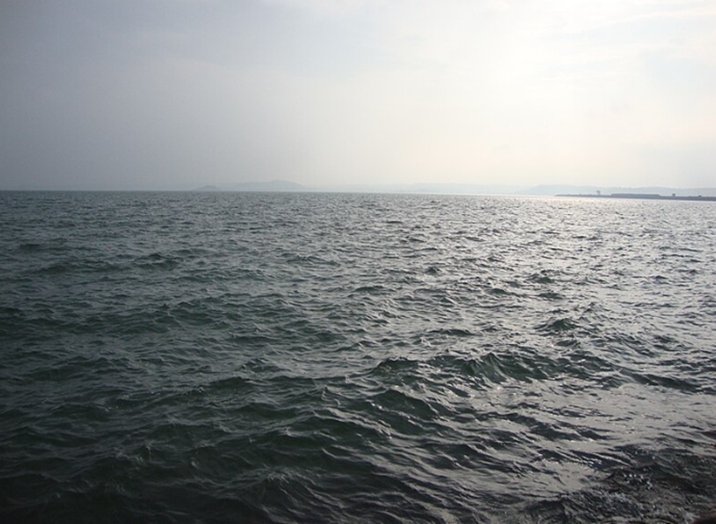 naidunia_image